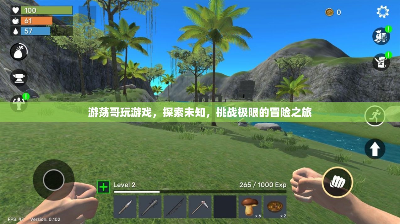 游蕩哥，挑戰(zhàn)極限，探索未知的冒險(xiǎn)游戲之旅