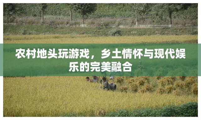 鄉(xiāng)土情懷與現(xiàn)代娛樂，農(nóng)村地頭游戲新體驗(yàn)