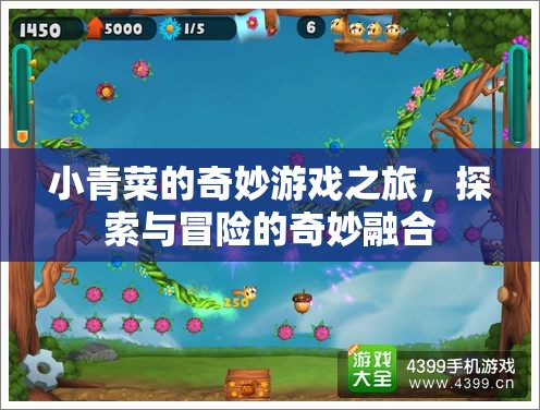 小青菜的奇妙冒險(xiǎn)，游戲與探索的夢幻融合