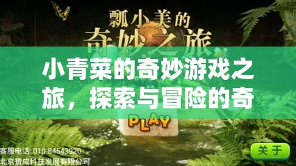 小青菜的奇妙冒險(xiǎn)，游戲與探索的夢幻融合