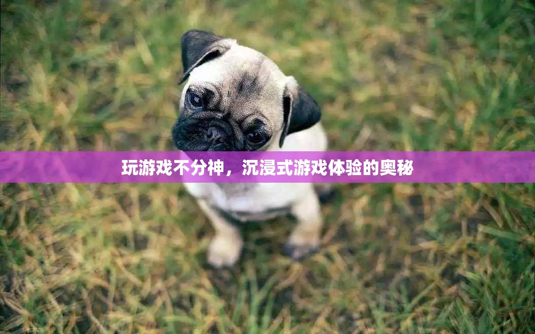 沉浸式游戲體驗(yàn)，專注與無干擾的奧秘
