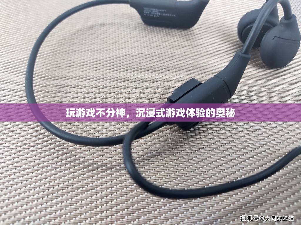 沉浸式游戲體驗(yàn)，專注與無干擾的奧秘