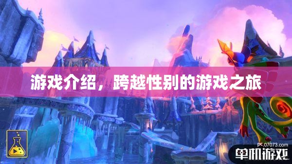 跨越性別的游戲之旅，探索未知的挑戰(zhàn)與冒險(xiǎn)