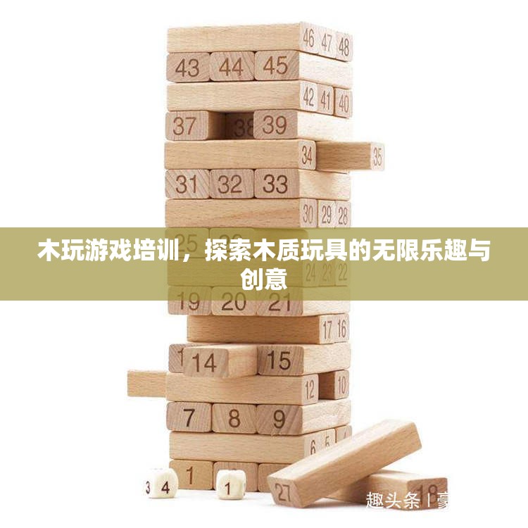木玩游戲培訓(xùn)，探索木質(zhì)玩具的無限樂趣與創(chuàng)意