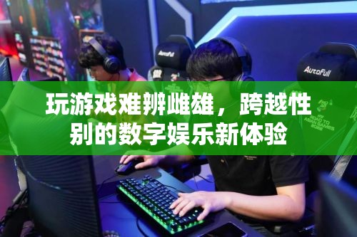 跨越性別界限，數(shù)字娛樂中的游戲新體驗
