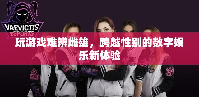 跨越性別界限，數(shù)字娛樂中的游戲新體驗
