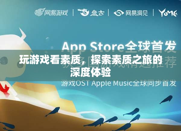 探索素質(zhì)之旅，深度體驗(yàn)游戲與素質(zhì)的關(guān)系