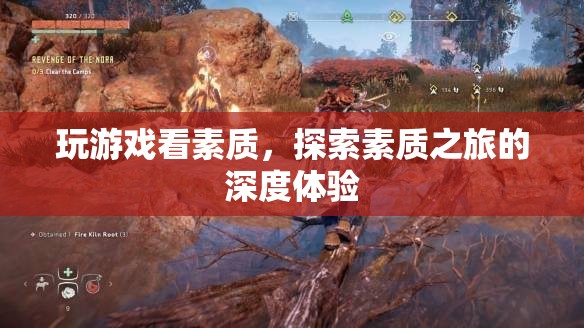 探索素質(zhì)之旅，深度體驗(yàn)游戲與素質(zhì)的關(guān)系