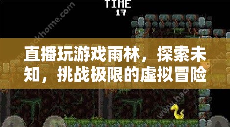 雨林探險(xiǎn)，挑戰(zhàn)極限的虛擬冒險(xiǎn)之旅