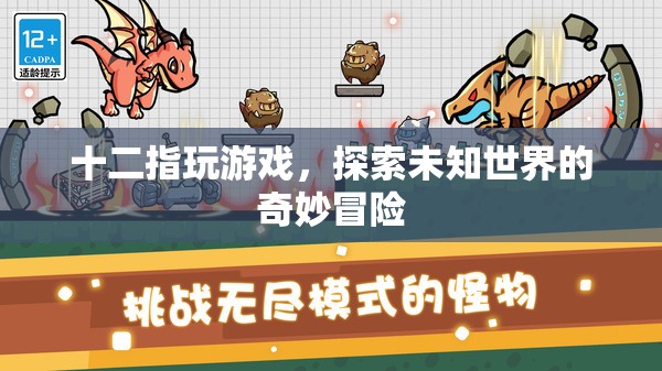 探索未知世界的奇妙冒險，游戲之旅的十二種可能