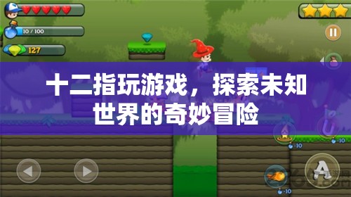 探索未知世界的奇妙冒險，游戲之旅的十二種可能