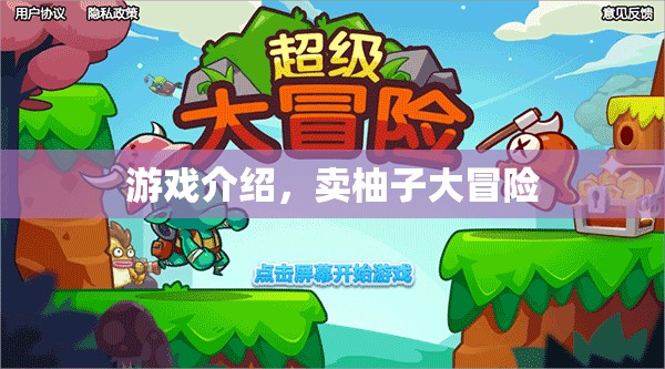 賣柚子大冒險(xiǎn)，一場趣味橫生的游戲之旅
