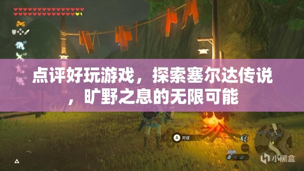 探索塞爾達傳說，曠野之息的無限可能，游戲點評與玩法探索