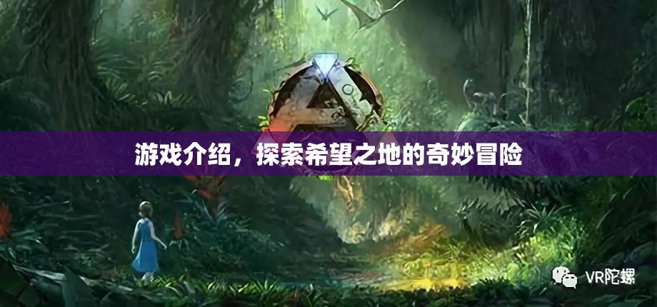 探索希望之地的奇妙冒險(xiǎn)，游戲介紹