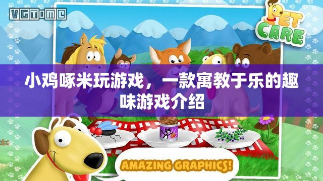 小雞啄米，寓教于樂的游戲新體驗(yàn)