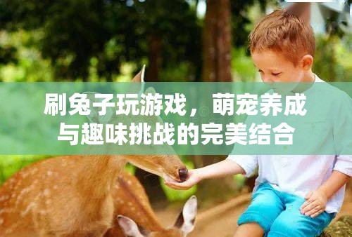 兔子養(yǎng)成游戲，萌寵養(yǎng)成與趣味挑戰(zhàn)的完美結(jié)合