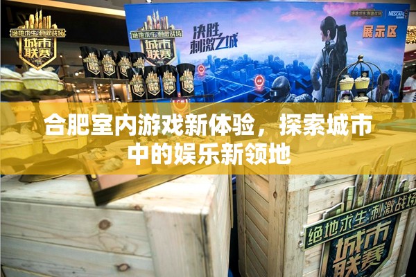 合肥室內(nèi)游戲新體驗(yàn)，探索城市娛樂(lè)新領(lǐng)地