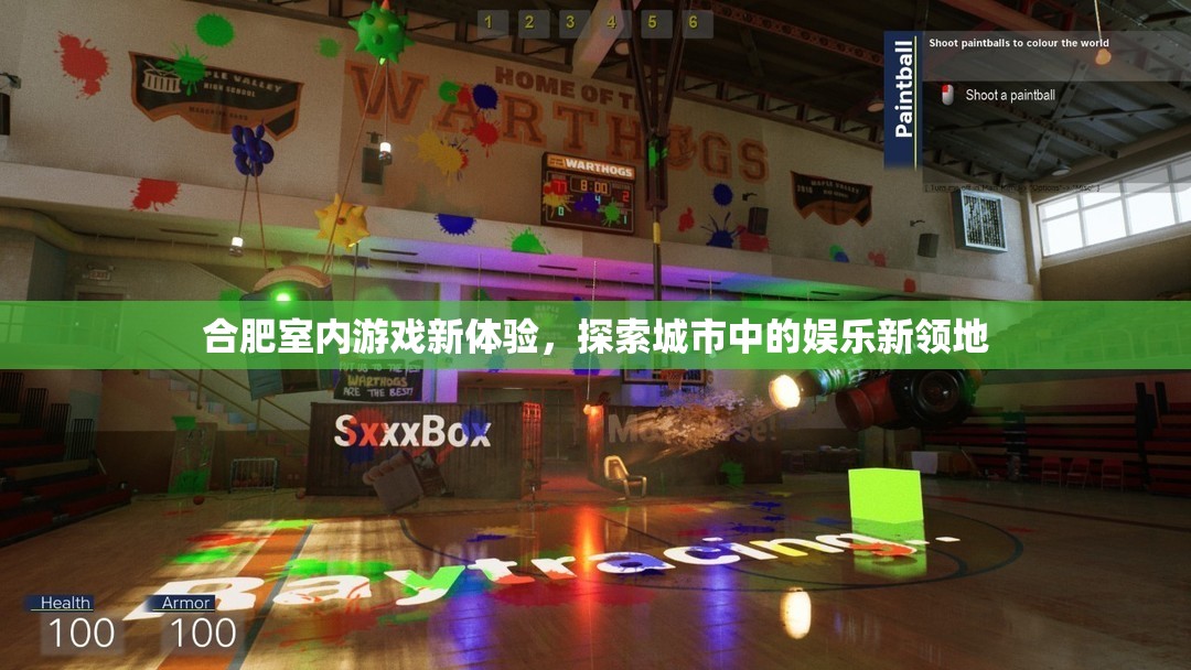 合肥室內(nèi)游戲新體驗(yàn)，探索城市娛樂(lè)新領(lǐng)地