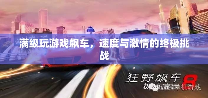 速度與激情的終極挑戰(zhàn)，滿級游戲飆車