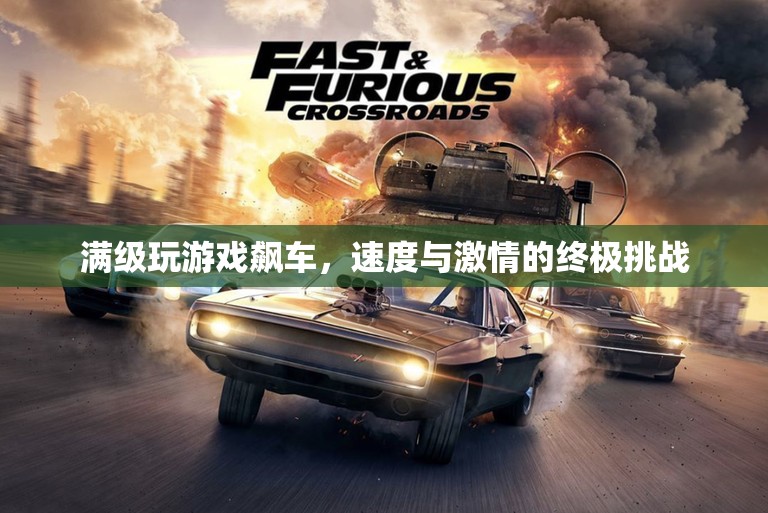 速度與激情的終極挑戰(zhàn)，滿級游戲飆車