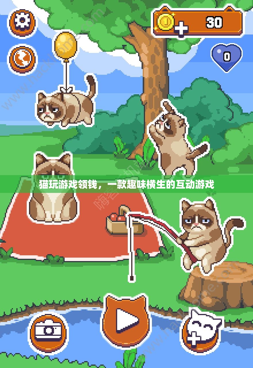 貓玩游戲領(lǐng)錢(qián)，趣味互動(dòng)游戲等你來(lái)挑戰(zhàn)