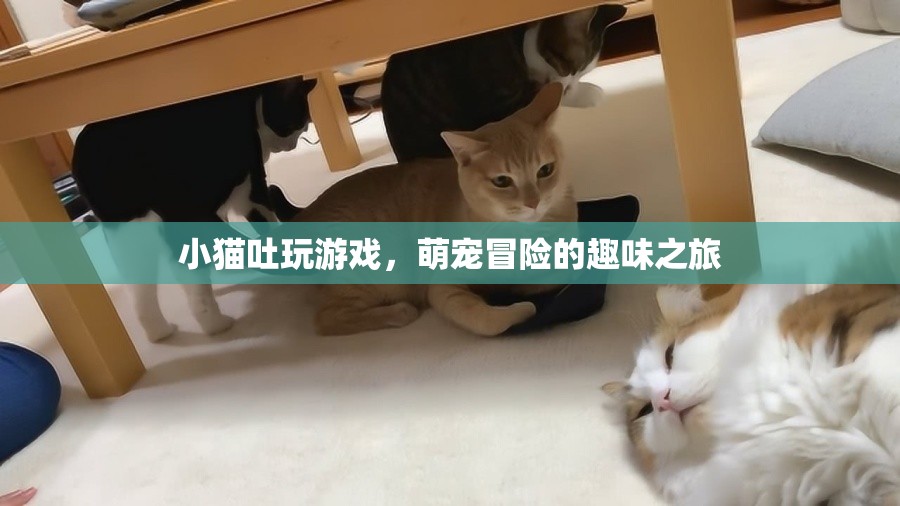 萌寵冒險(xiǎn)記，小貓吐玩游戲的趣味之旅