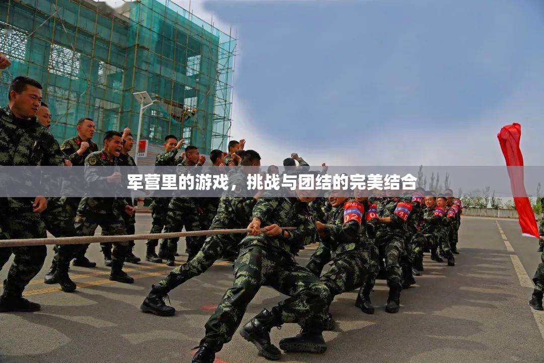 軍營(yíng)游戲，挑戰(zhàn)與團(tuán)結(jié)的完美融合