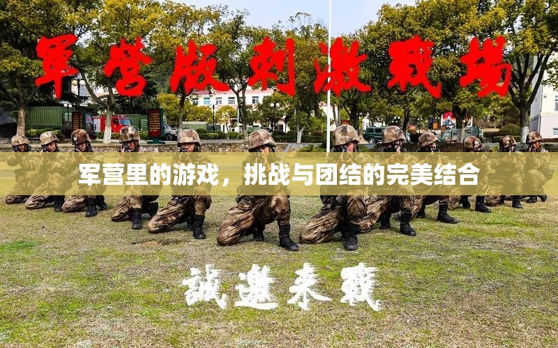 軍營(yíng)游戲，挑戰(zhàn)與團(tuán)結(jié)的完美融合