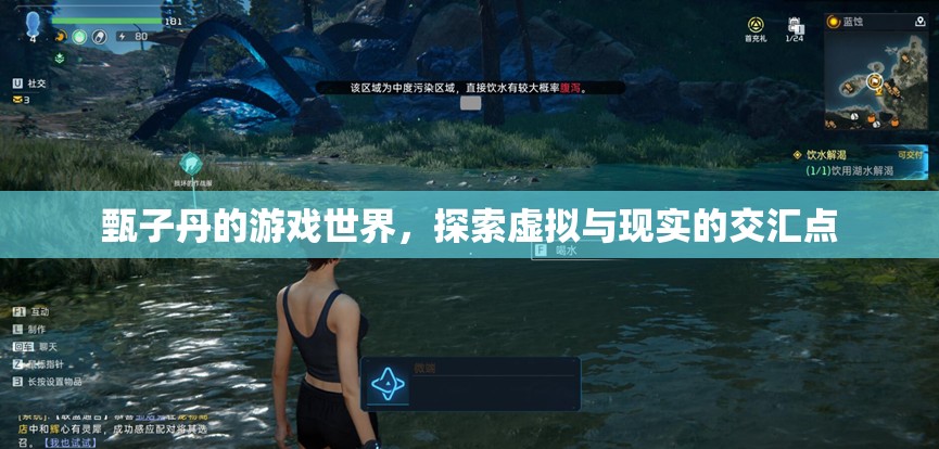 甄子丹游戲世界，虛擬與現(xiàn)實的交匯探索