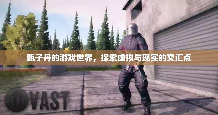 甄子丹游戲世界，虛擬與現(xiàn)實的交匯探索