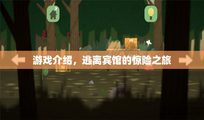逃離賓館，一場(chǎng)驚險(xiǎn)刺激的解謎之旅