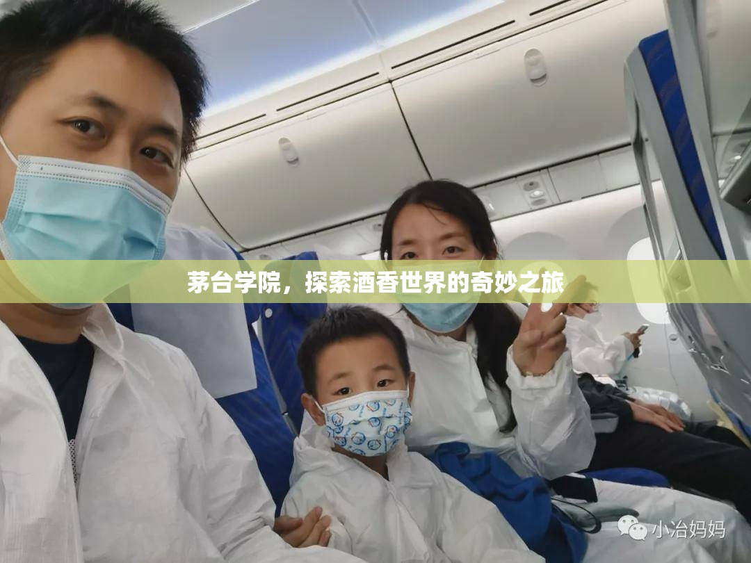 茅臺學(xué)院，探索酒香世界的奇妙之旅