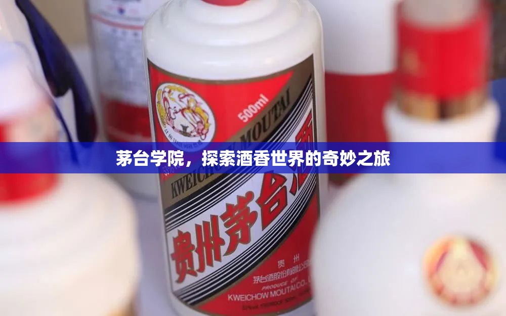 茅臺學(xué)院，探索酒香世界的奇妙之旅