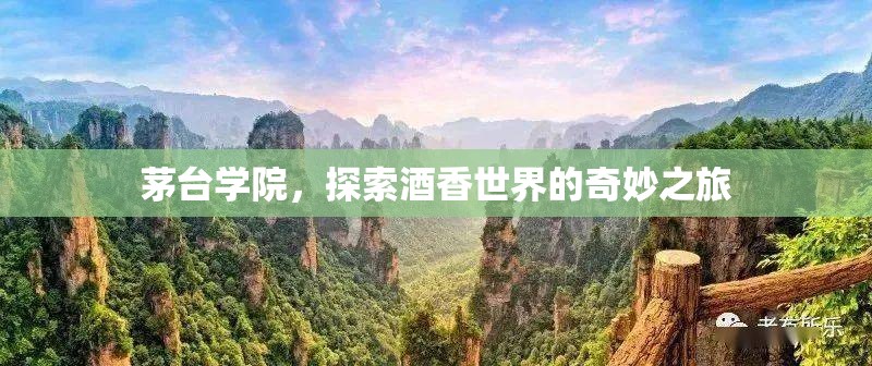 茅臺學(xué)院，探索酒香世界的奇妙之旅
