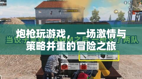 炮槍冒險(xiǎn)，激情與策略并重的游戲之旅