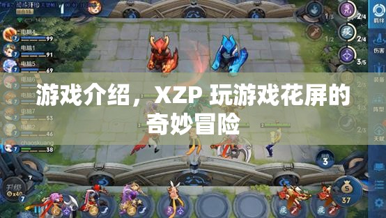 XZP玩游戲花屏的奇妙冒險，探索視覺扭曲的奇幻之旅