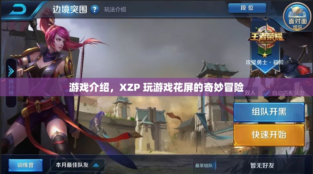 XZP玩游戲花屏的奇妙冒險，探索視覺扭曲的奇幻之旅