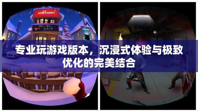 專業(yè)游戲版本，沉浸式體驗(yàn)與極致優(yōu)化的完美融合