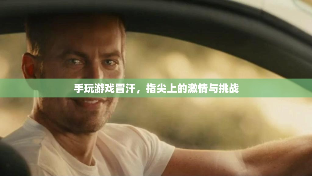 指尖上的激情與挑戰(zhàn)，手游冒汗的冒險之旅