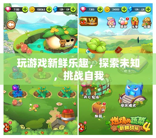探索未知，挑戰(zhàn)自我，游戲帶來的新鮮樂趣