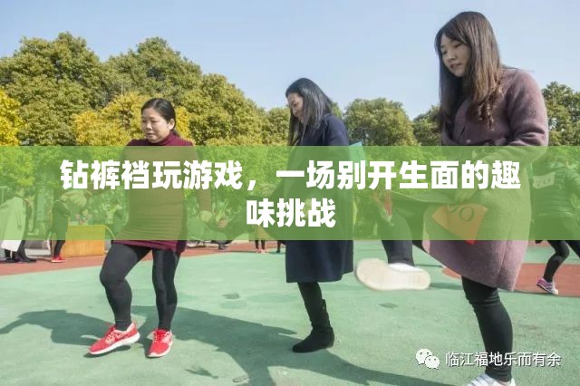 鉆褲襠玩游戲，一場別開生面的趣味挑戰(zhàn)