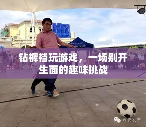 鉆褲襠玩游戲，一場別開生面的趣味挑戰(zhàn)