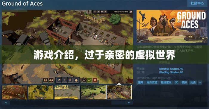 虛擬世界中的親密界限，游戲介紹