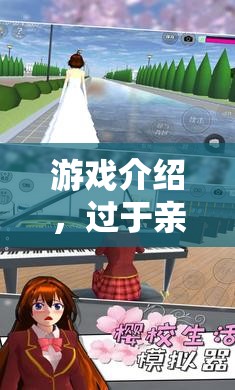虛擬世界中的親密界限，游戲介紹