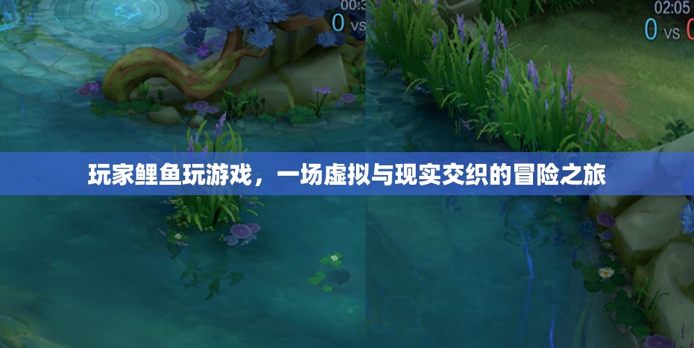 玩家鯉魚，虛擬與現(xiàn)實交織的冒險之旅