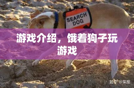 餓著狗子玩游戲，挑戰(zhàn)你的反應速度