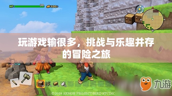 冒險(xiǎn)之旅，挑戰(zhàn)與樂(lè)趣并存的精彩游戲