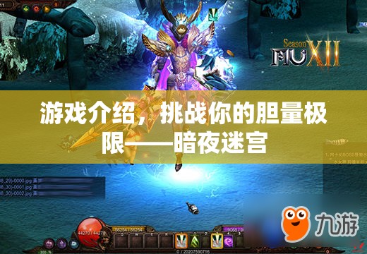 挑戰(zhàn)膽量極限，暗夜迷宮游戲介紹
