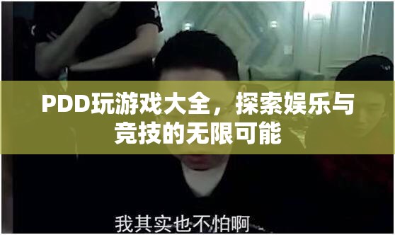 PDD游戲大全，探索娛樂與競技的無限可能