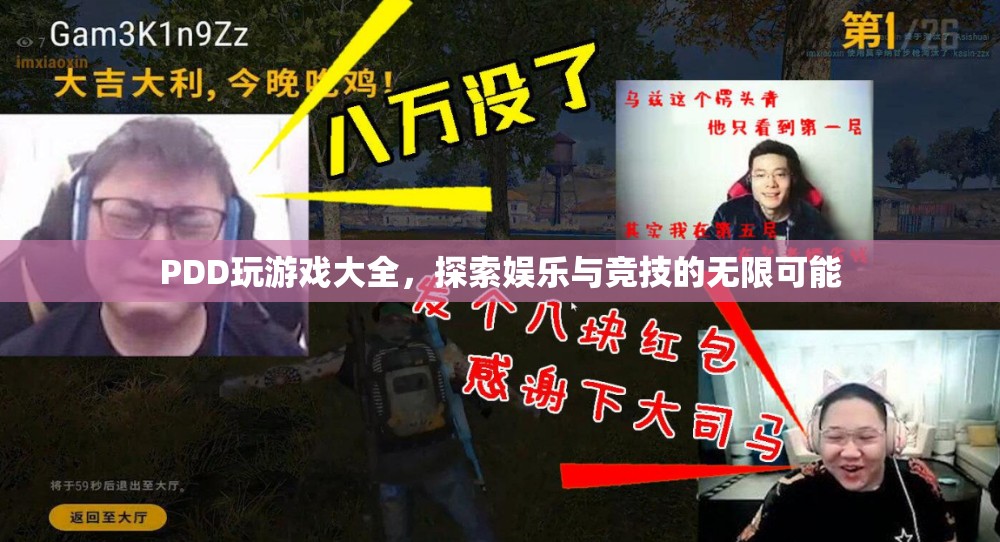 PDD游戲大全，探索娛樂與競技的無限可能
